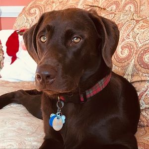 Meet your Posher, Traci